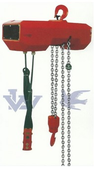 飛鴿電動環(huán)鏈葫蘆參考圖